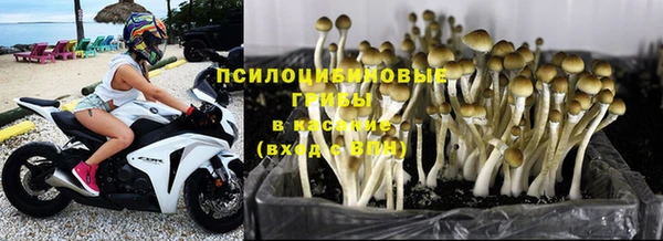 мяу мяу мука Арсеньев